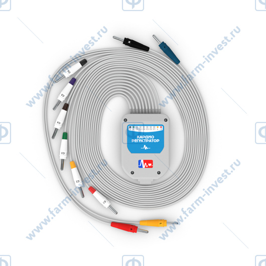 Кардиорегистратор портативный КРП-01 (СПДМ-01-Р-Д) с программой Armasoft 12-Cardio (на 1 пациента)