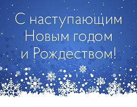 С наступающим 2021 годом и Рождеством!