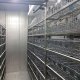 Камера теплоизолированная сборная КТС-УОМЗ (-18…-40˚С) для замороженной крови и ее компонентов - Изображение 1