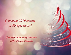 С наступающим 2019 годом и Рождеством!