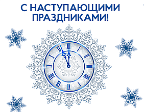 С Новым 2026 годом и Рождеством! 